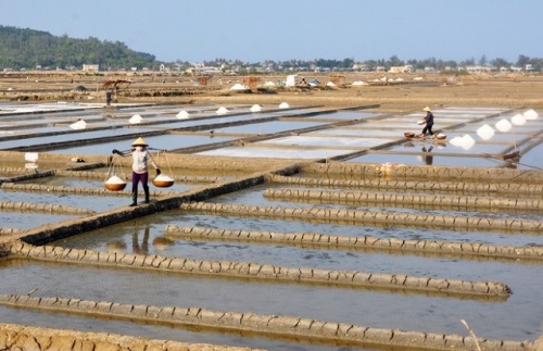 Quảng Ngãi: Trăn trở thương hiệu muối Sa Huỳnh